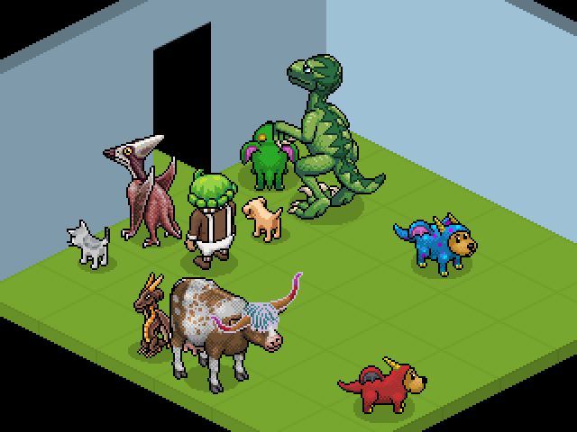 The Haddo pet shop